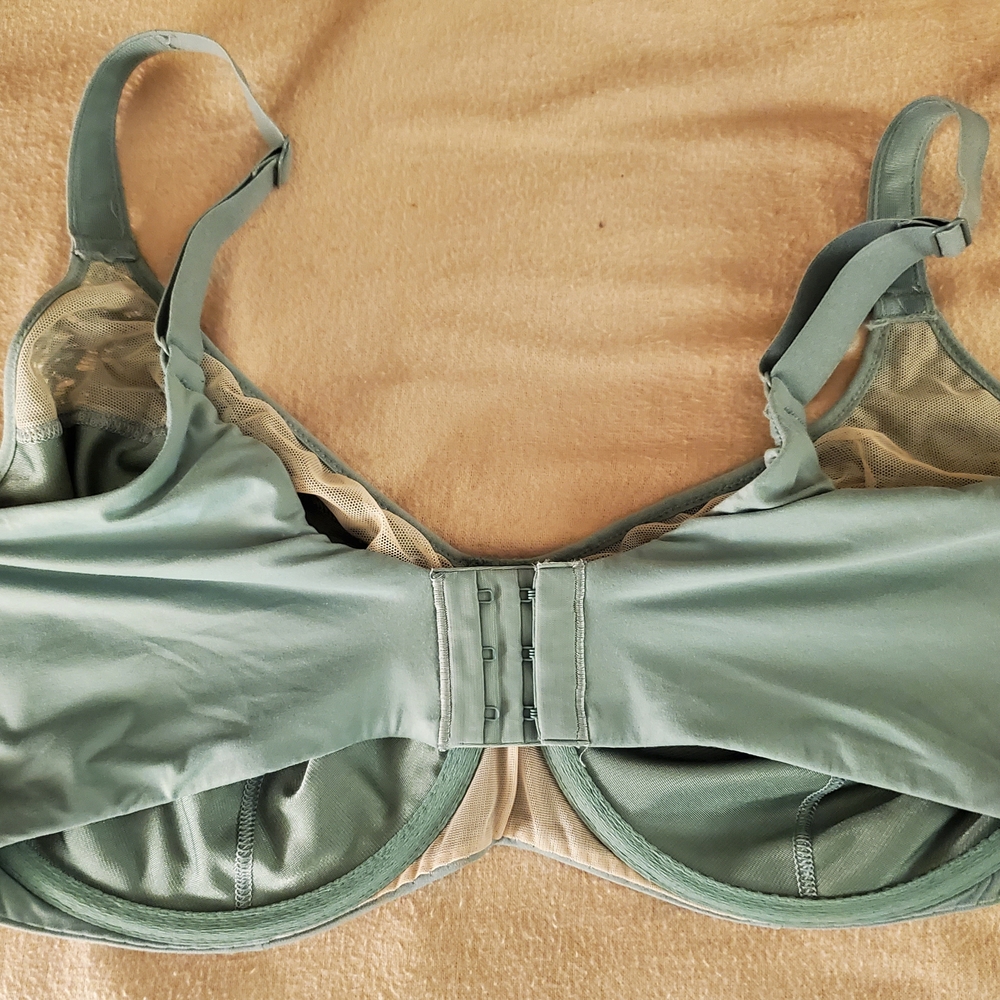 Chantelle Green Lace Bra - Picture 3 of 5